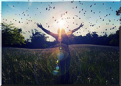 girl in the meadow opens her arms to the sky