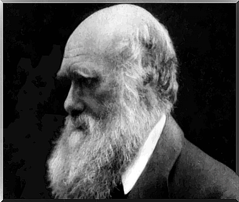 Charles Darwin.