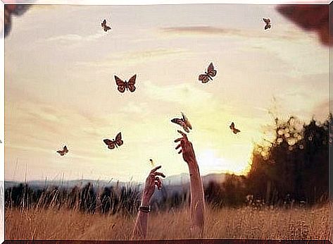 hands touch butterflies in the sky