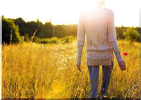 Woman walks in a wheat field