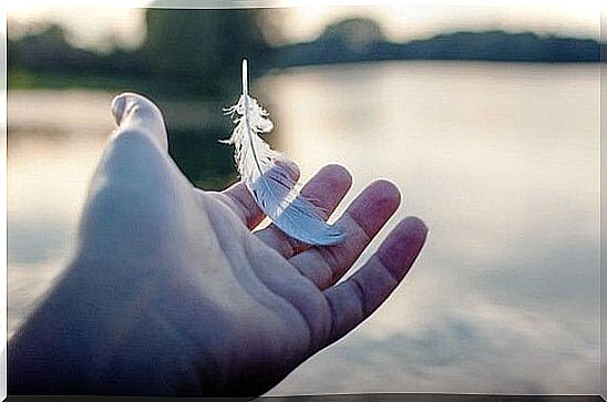 Open hand with white feather