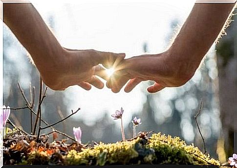 Hands protecting flower