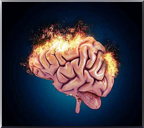 Brain on fire.