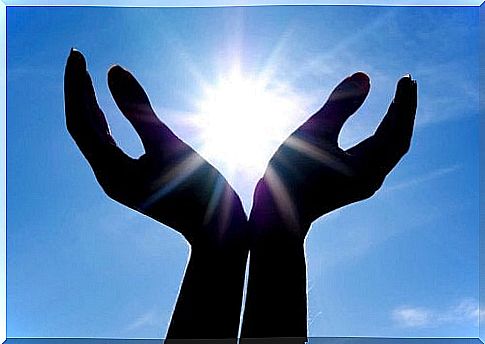 Hands that collect the sun