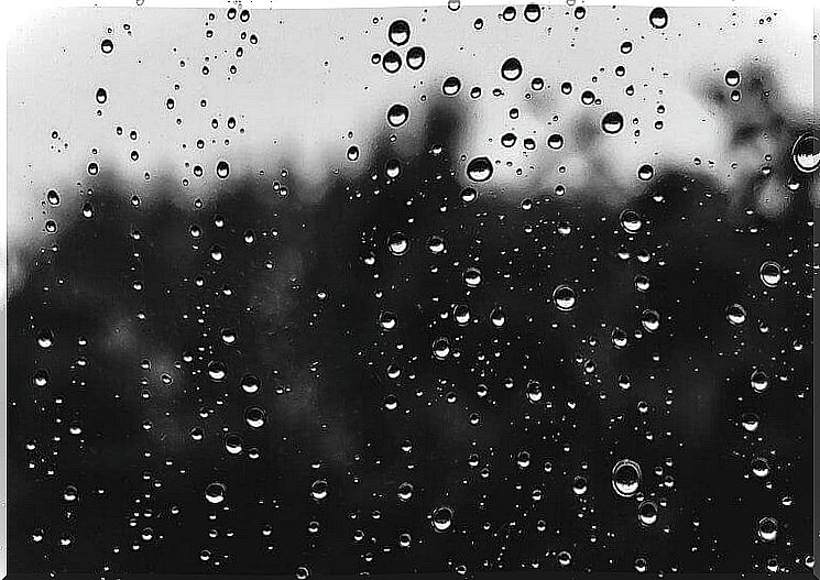 Raindrops on the glass