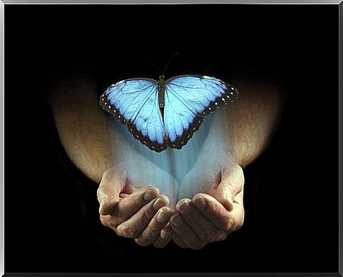 A blue butterfly on top of some hands