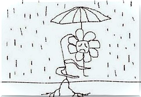 Flower under an umbrella.