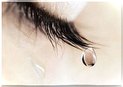 Eyelashes with tear.