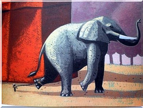 The chained elephant: past failures