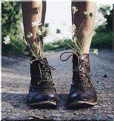 flowers growing in shoes