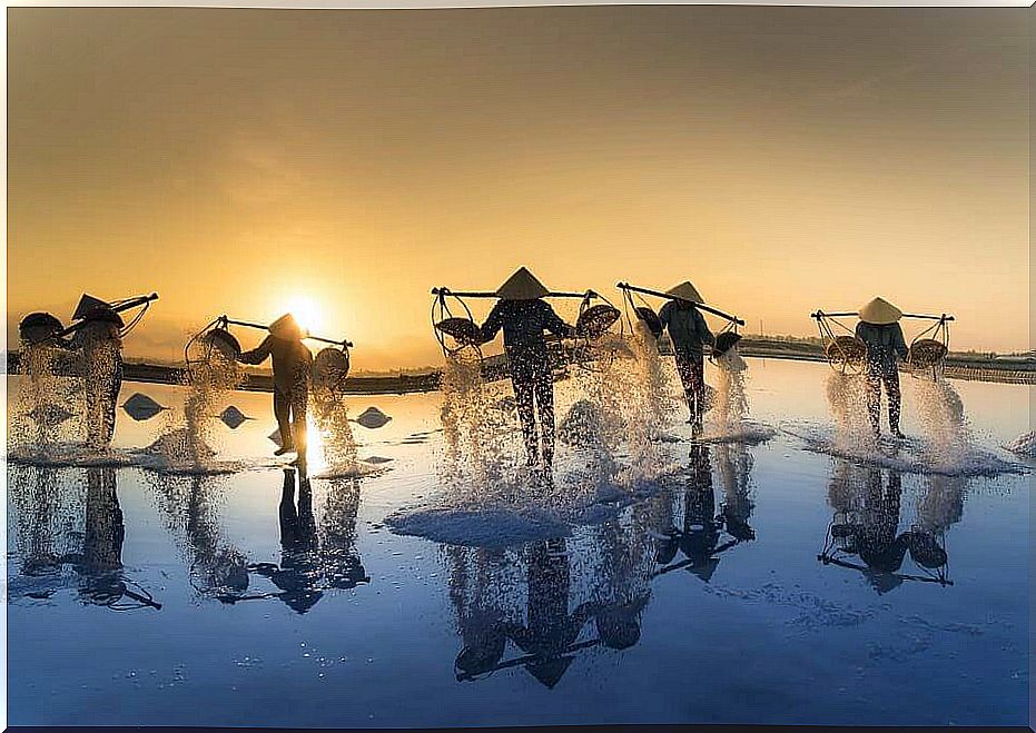 Vietnamese salt workers