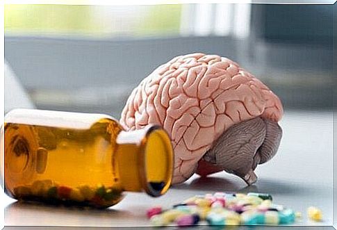 Brain with vitamins